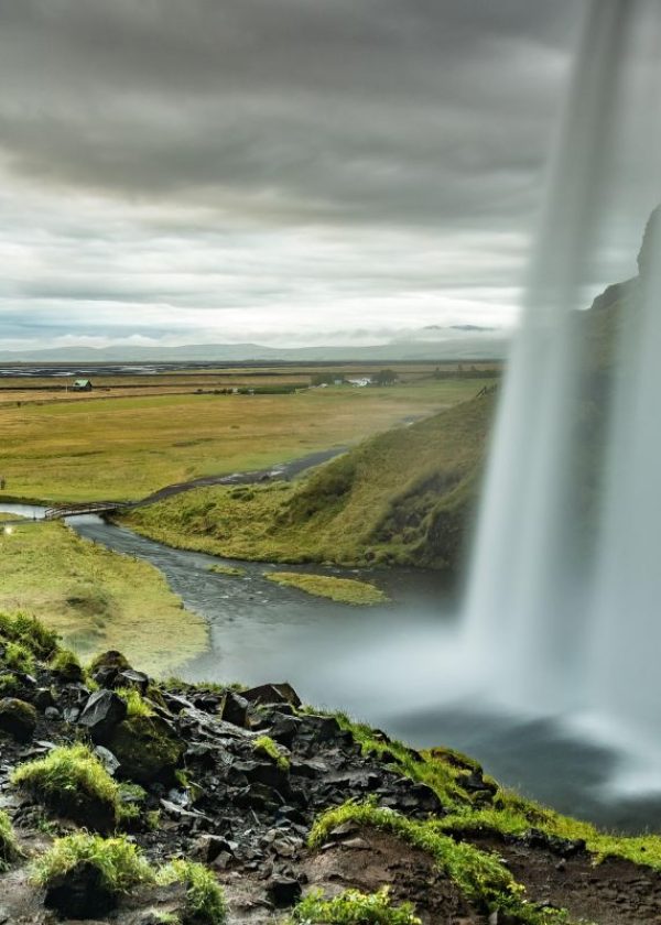 STE